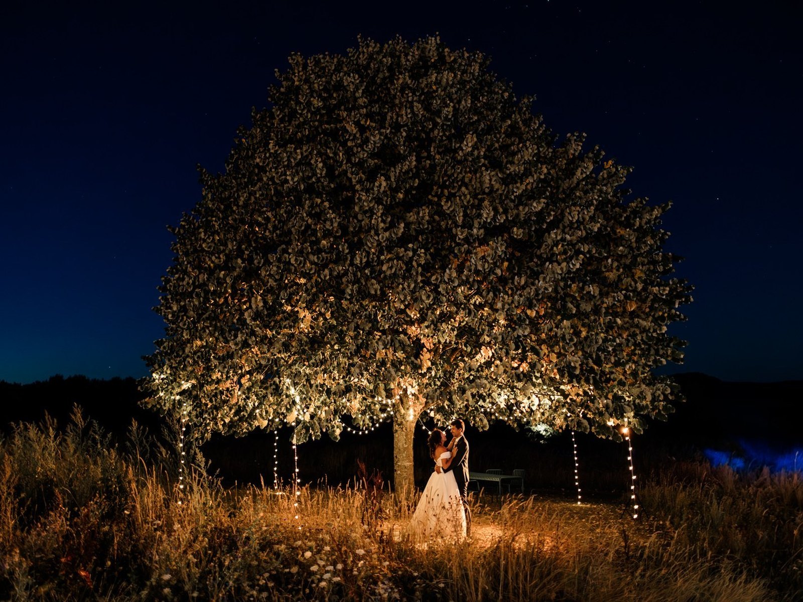 Les mariés sous l'arbre illuminé de guirlandes à la nuit tombée