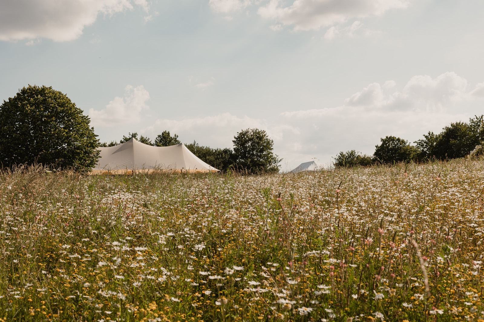 Le chapiteau dressé dans la prairie fleurie